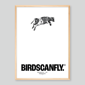 Birdscanfly Poster Natur